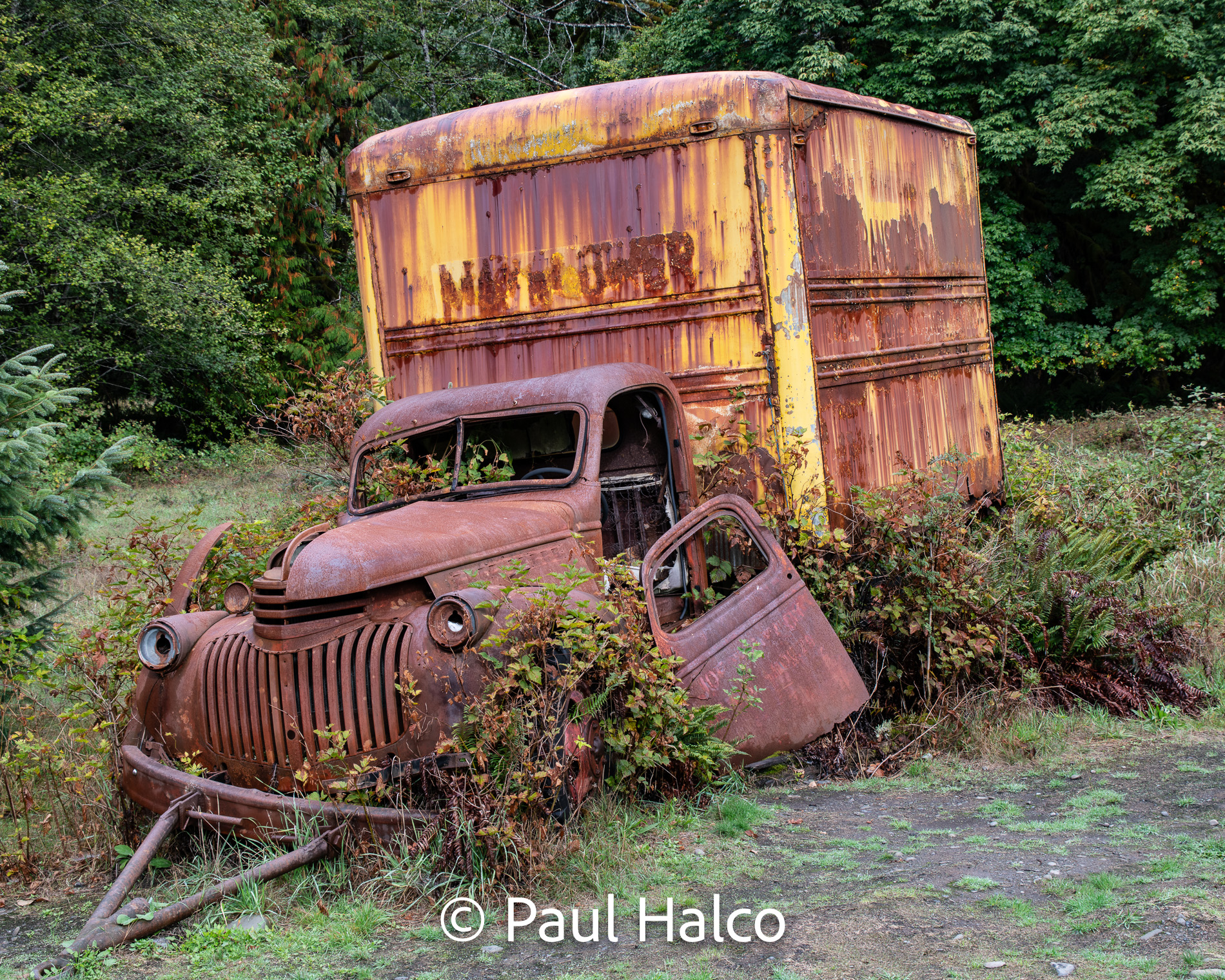 Paul Halco - Olympus NP-4